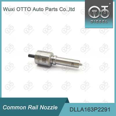 Bec commun de rail de BOSCH DLLA163P2291 pour des injecteurs 0445110476/477/0986435241